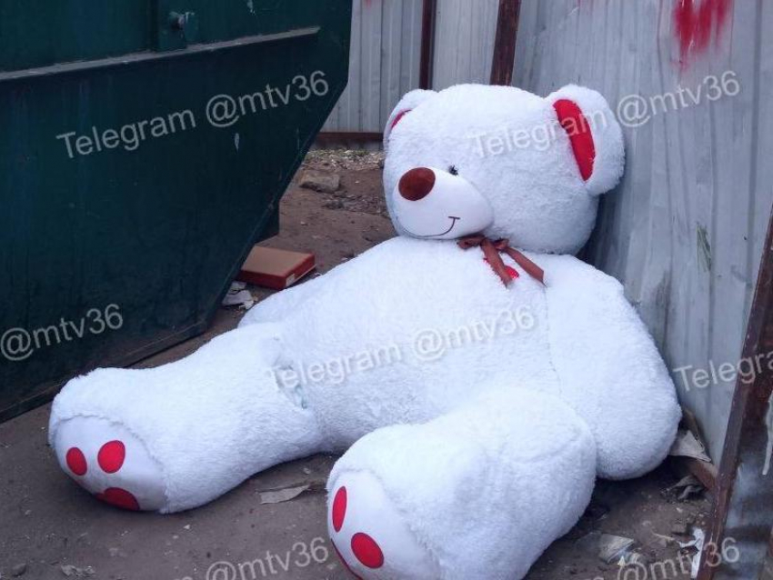 Боль закончившейся любви встретили на мусорке в Воронеже