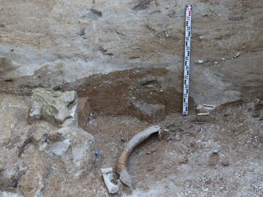 Редчайшие артефакты каменного века обнаружили под Воронежем