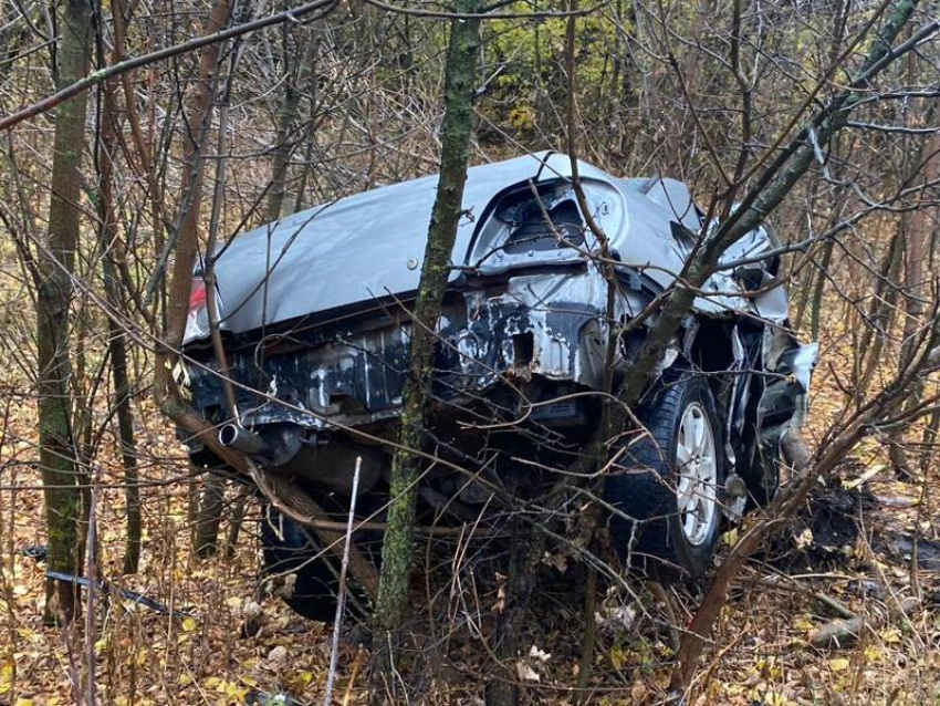 Машину нанизало на дерево после вылета на встречку в Воронежской области