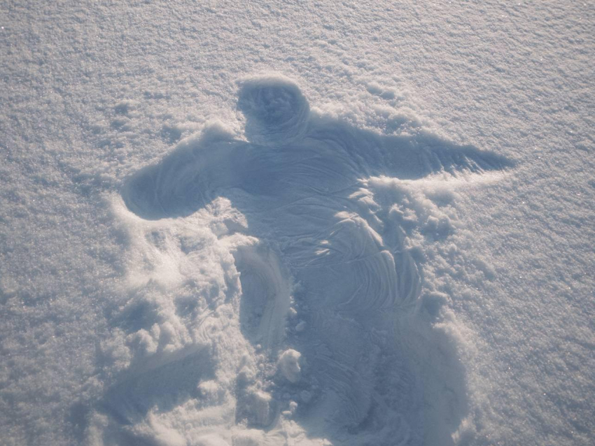 Что готовит погода воронежцам на праздники