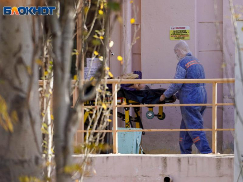  Количество смертей пациентов с COVID-19 перевалило за 10 тыс в Воронежской области