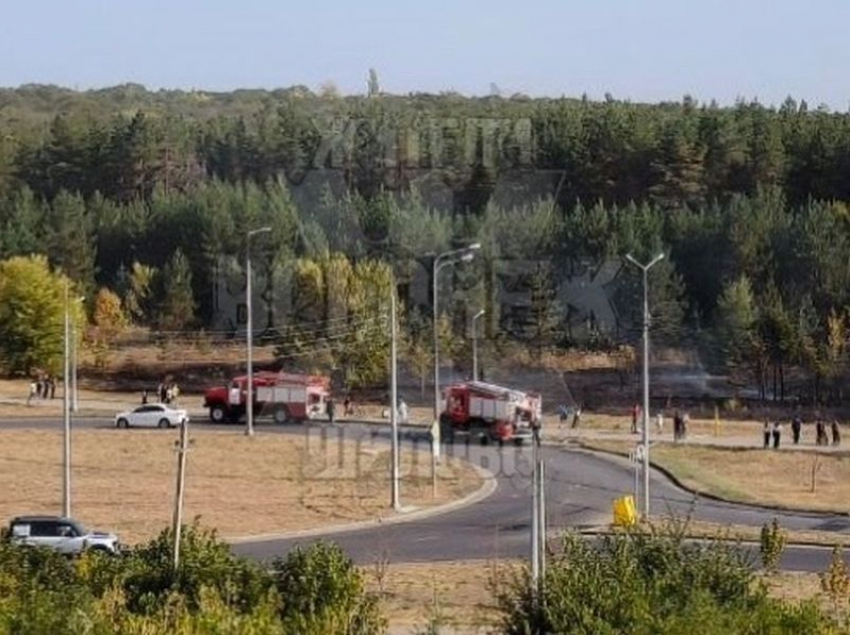 Последствия ландшафтного пожара в воронежском Шилово попали на видео