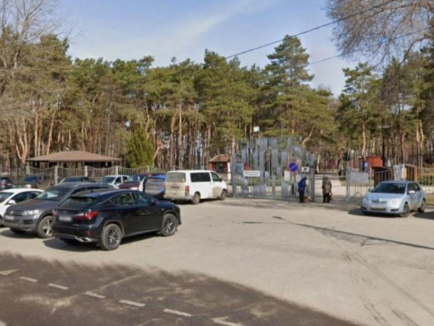 У популярного парка перекроют движение в выходной в Воронеже
