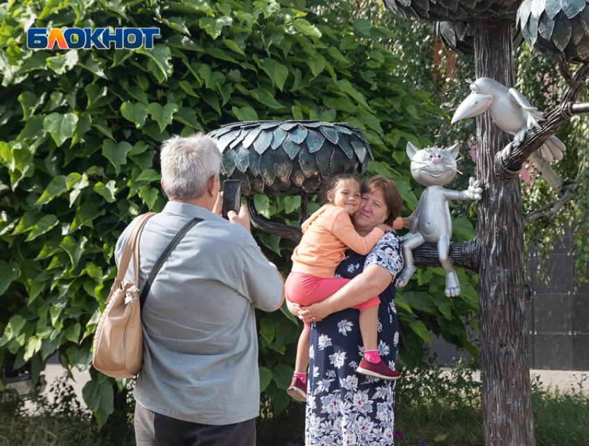 Котенок с улицы Лизюкова прославил Воронеж на «Котокарте России»