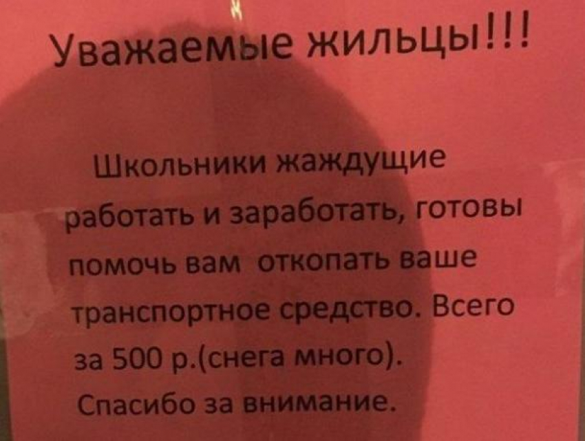 Воронежцев возмутила сумма, которую просят школьники за откапывание заснеженных машин