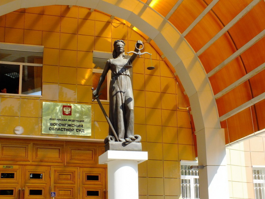 В Воронежской области осудили киллера, пытавшегося убить фермера 