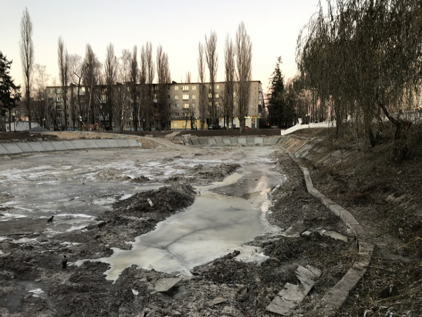 Лебединое озеро грязи с ледяными лужами: как водоем выглядит сейчас в Воронеже