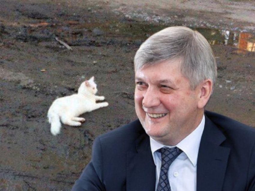 Правительство Воронежской области посмеялось над грязными дорогами при помощи белоснежного котика 