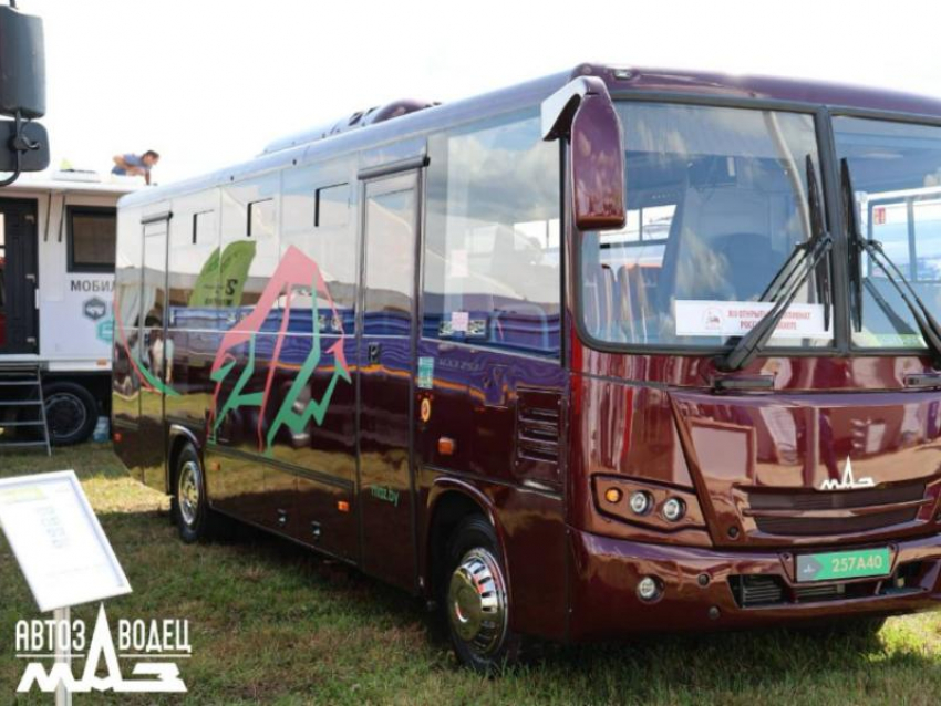 Кондиционированные, современные: автобусы из Беларуси хочет заказать воронежский губернатор 