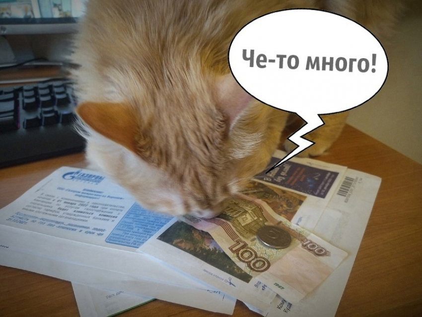 Что остается у воронежских семей после оплаты платежек ЖКХ, подсчитали аналитики 