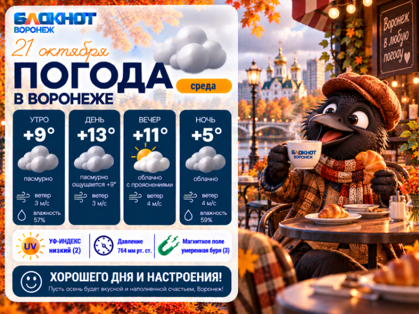 Холода подкрались незаметно: прогноз погоды в Воронеже