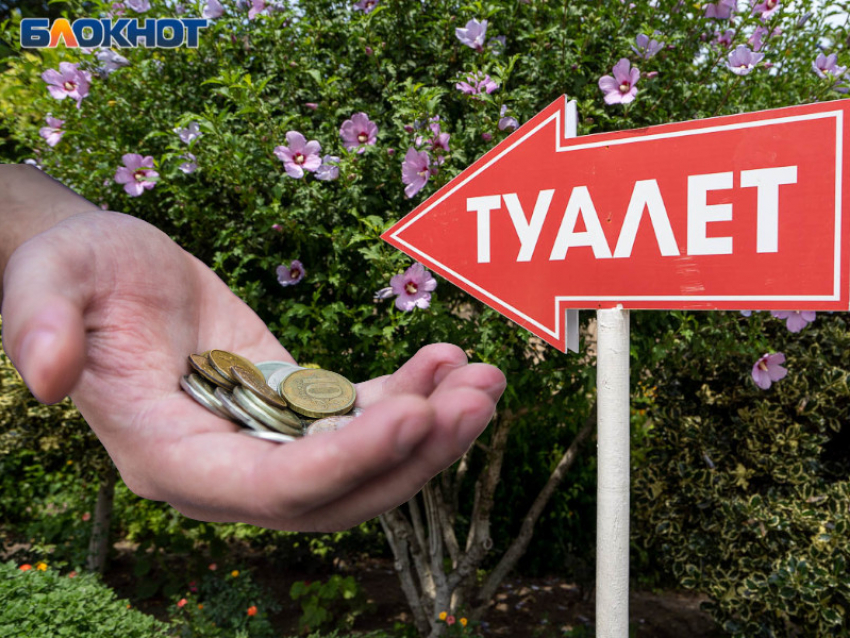 Морг, туалеты и выгребные ямы помогут воронежским чиновникам пополнить бюджет 