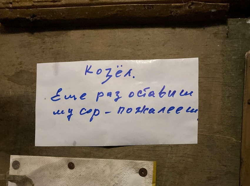 Любитель мусорить разозлил соседей до оскорбления и угрозы в Воронеже