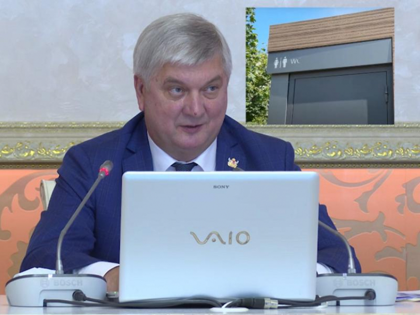 Проект «Туалетинг» предложили осуществить губернатору Воронежской области