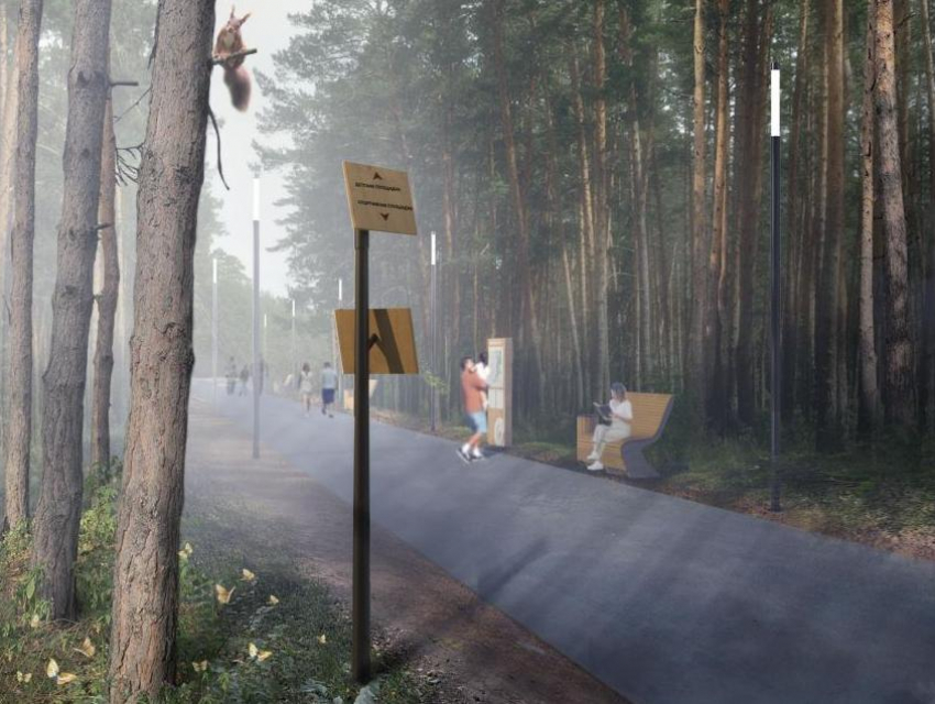 Опубликован проект благоустройства воронежского «Северного леса», признанного памятником природы