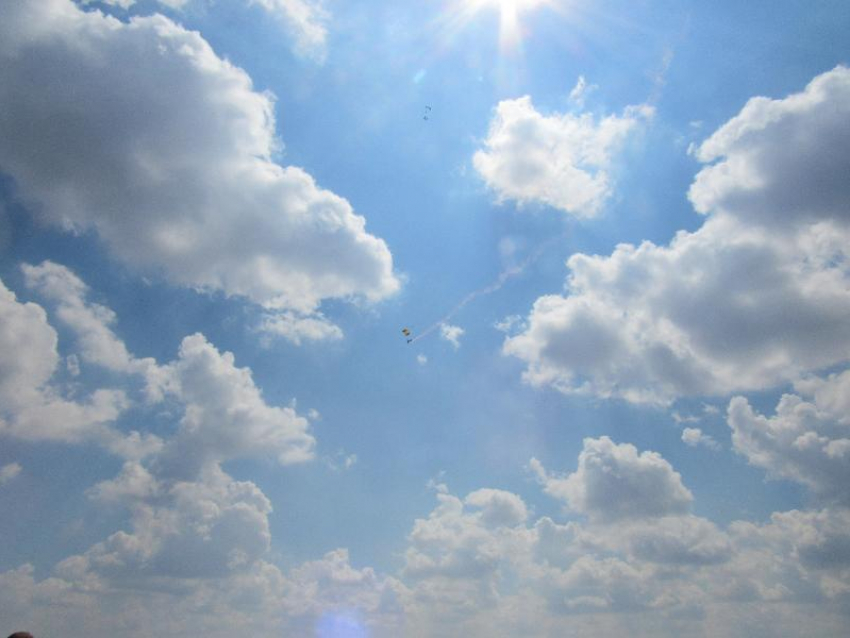 О сильном ветре предупредили воронежцев спасатели 