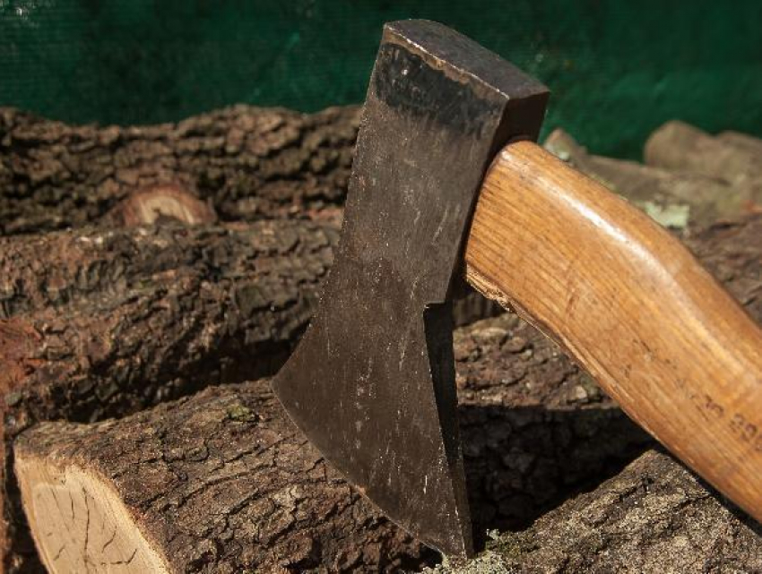 Воронежский дровосек «попал» на 3 миллиона за массовую вырубку деревьев
