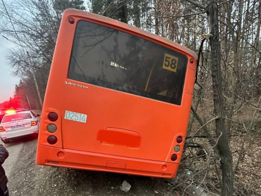 Автобус №58 вылетел в кювет и протаранил столб в Воронеже 