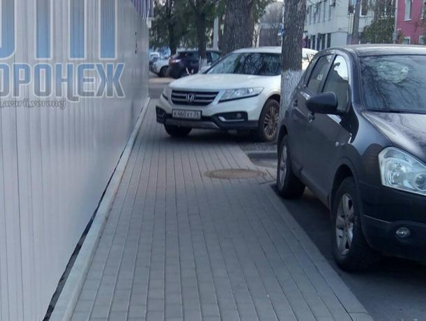 Воронежский автохам на Honda перегородил дорогу пешеходам