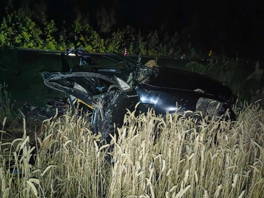 Семья из Воронежа погибла в страшном ДТП с фурой в Тамбовской области