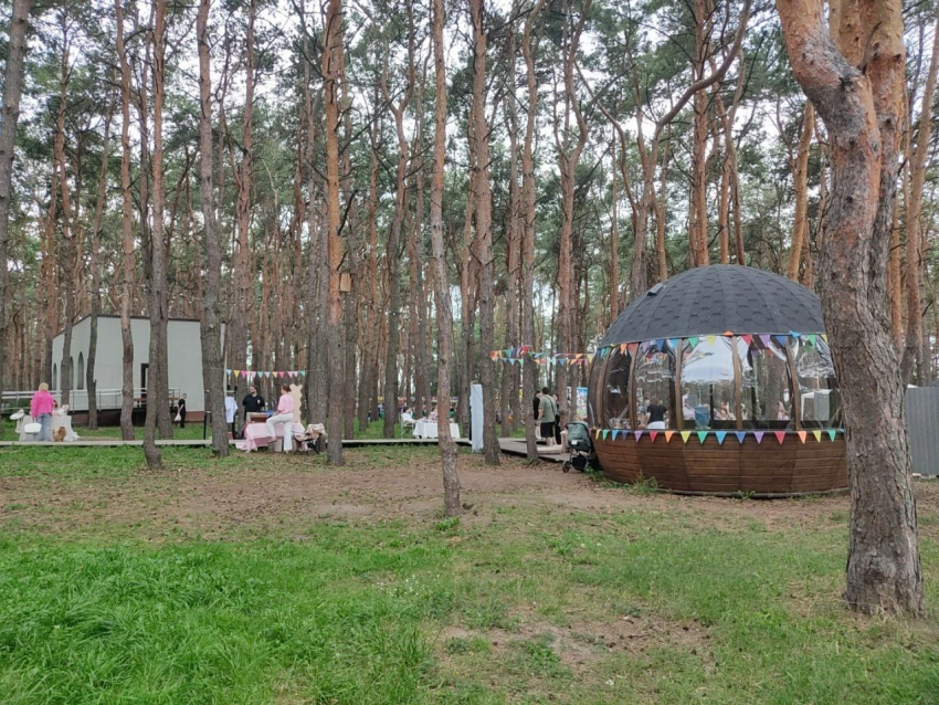 «Цель поездки» раскрыли в воронежском парке 