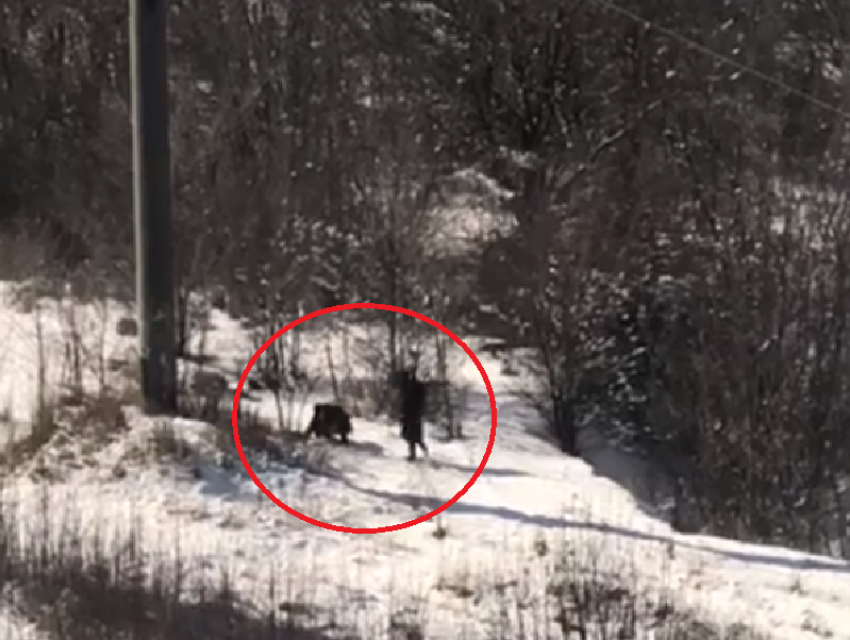 Наркоманские раскопки около столба сняли на видео в Воронеже