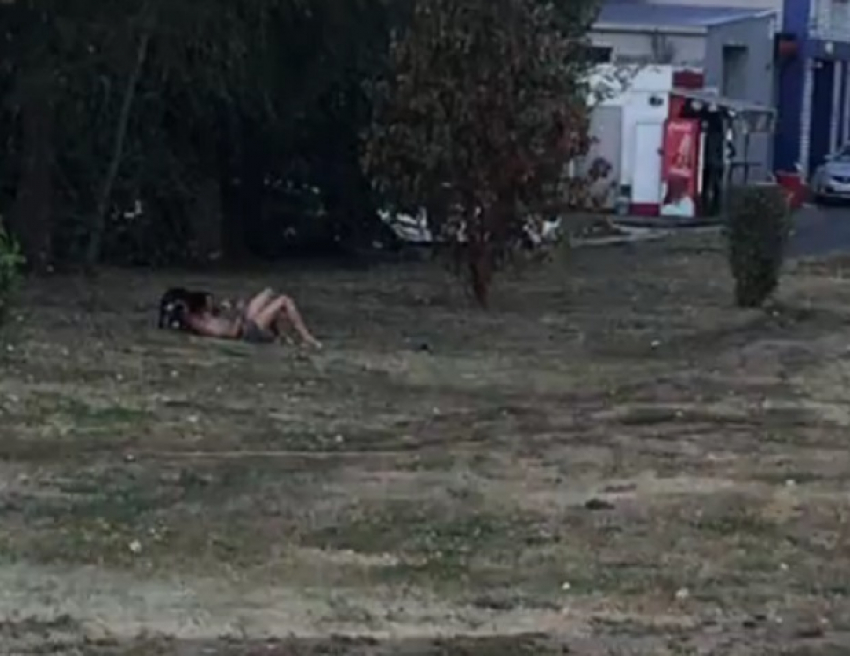 Странные забавы полуголого мужчины с псом сняли в Воронеже 