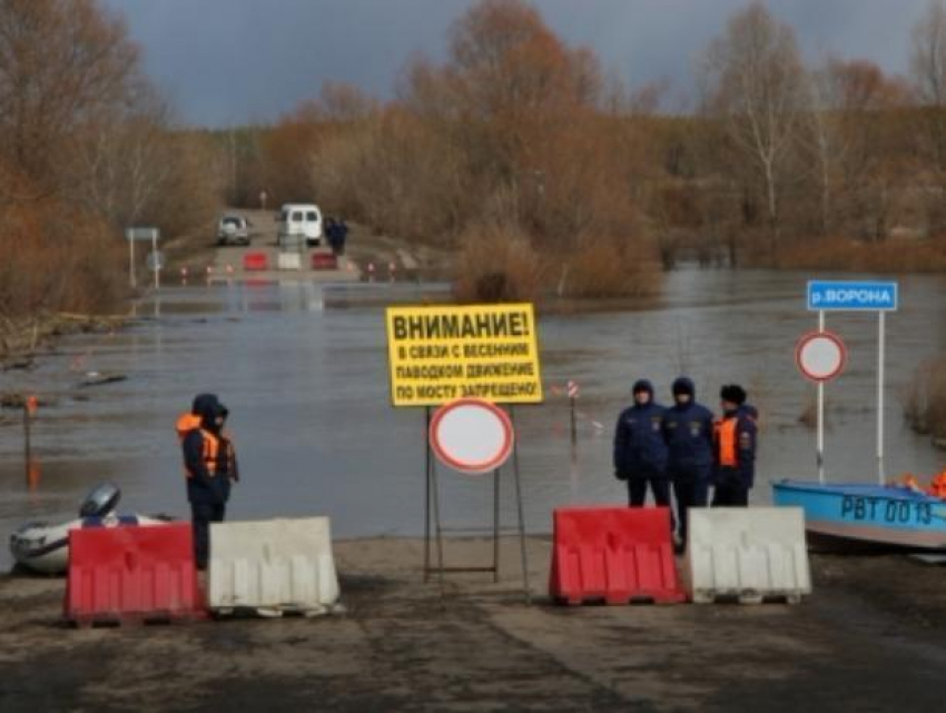 Еще 5 мостов затопило в Воронежской области