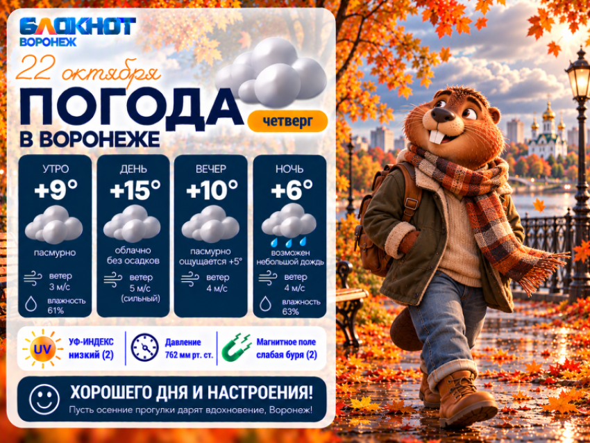 Холодно без осадков: прогноз погоды в Воронеже