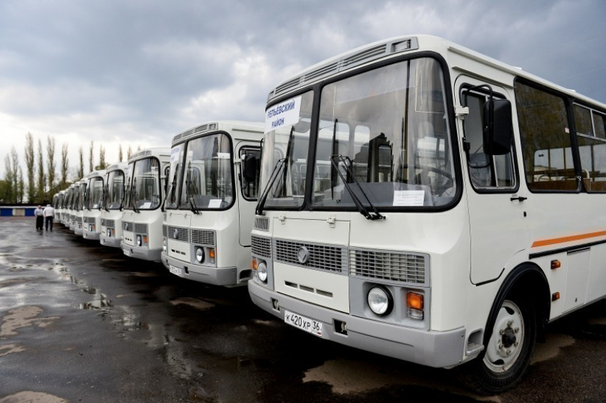 В Воронежской области районы получили 50 новых автобусов «ПАЗ»