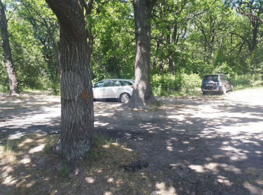 Государственную землю на берегу Усманки продают за 35 млн рублей в Воронеже