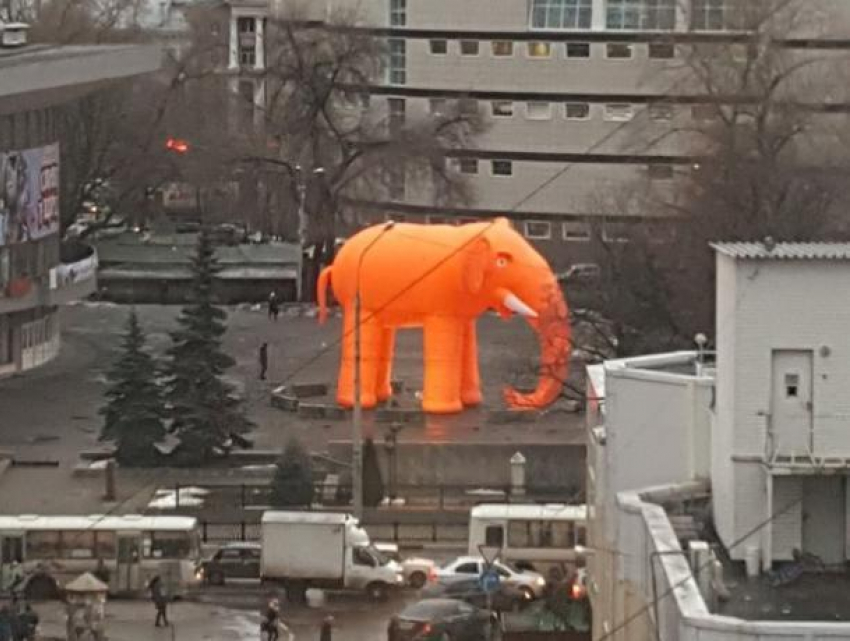 Гигантского оранжевого слона в центре Воронеже приняли за галлюцинацию