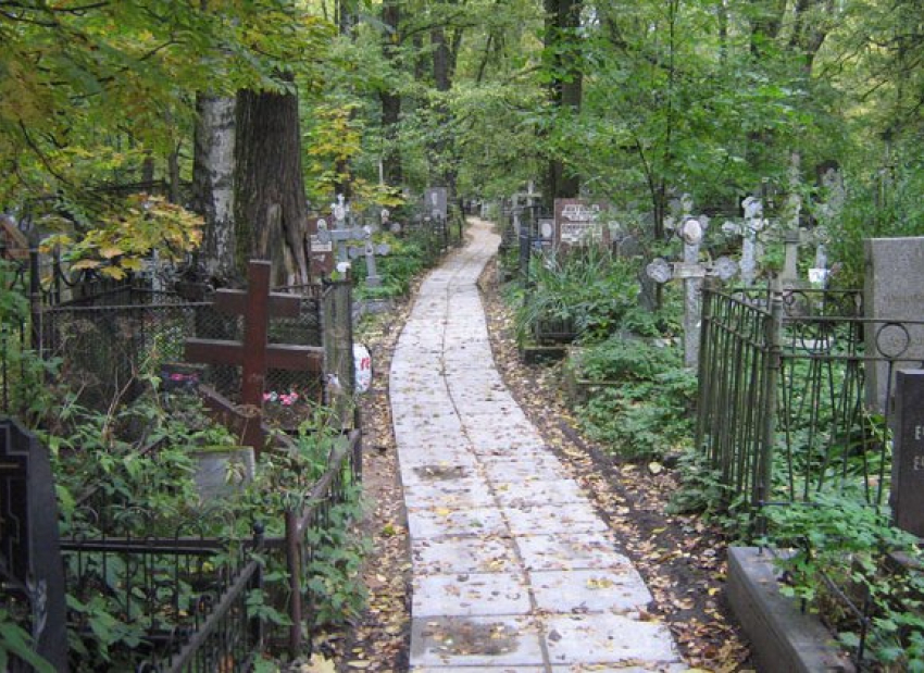 В Воронежской области пенсионер рушил могилы на кладбище