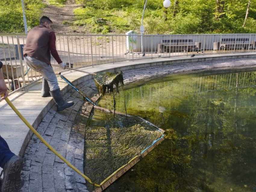 Возобновились работы по очистке искусственного пруда в Центральном парке Воронежа