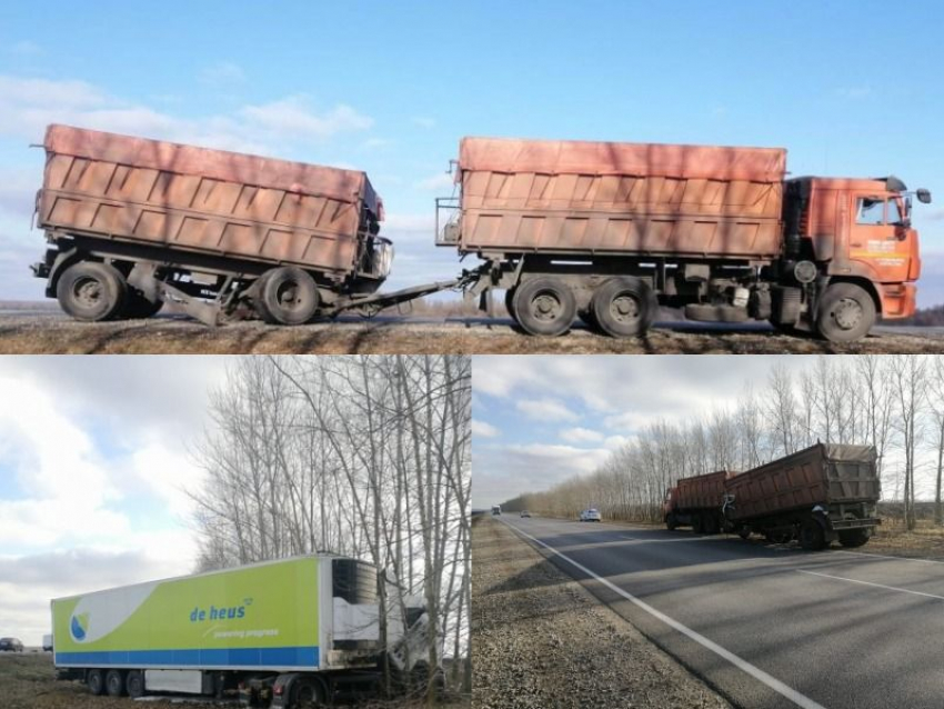 Фото последствий столкновения двух грузовиков опубликовали в Воронеже