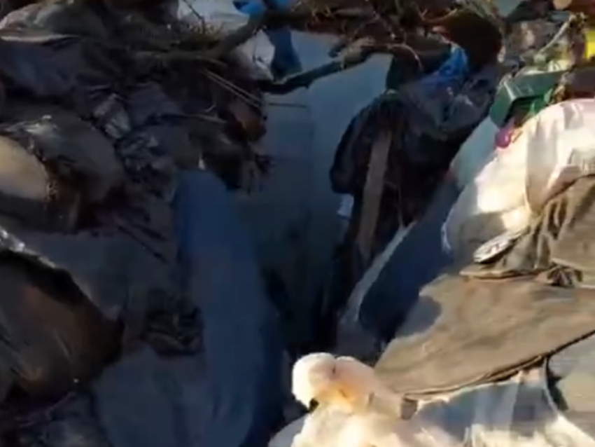 По самую крышу: в Воронеже обнаружили дом, заваленный мусором