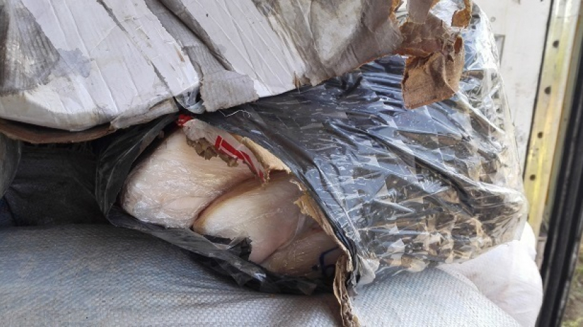20 тонн тухлого мяса нашли в Воронеже
