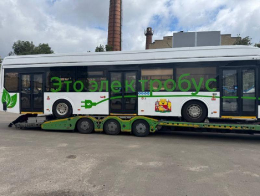 Почему эксперимент с электробусами оказался неудачным для Воронежа, рассказали в Минтрансе