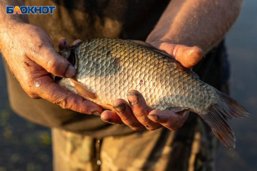 Ограничения на рыбалку ввели до начала лета в Воронежской области