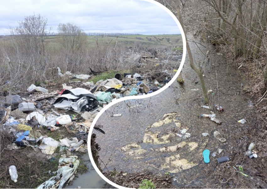 Адский хламовник в Острогожском районе показали на фото 
