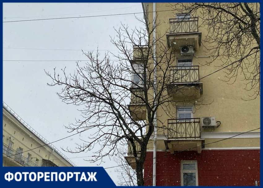 В поисках весны: как пробуждается серый Воронеж