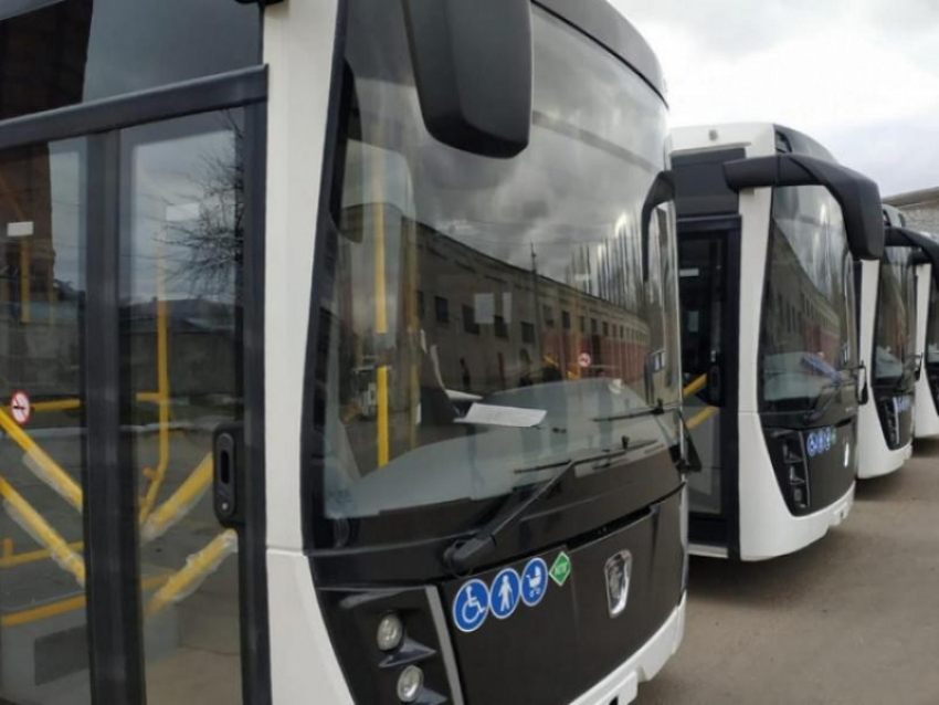 Что власти сделали для решения транспортного вопроса в Воронеже