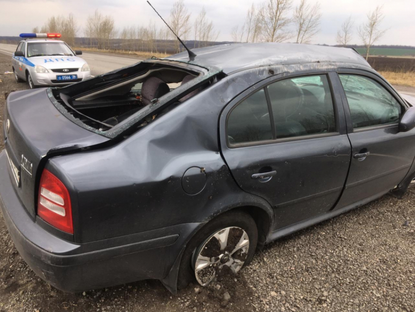 Водитель Skoda вылетел в кювет и пострадал на воронежской трассе