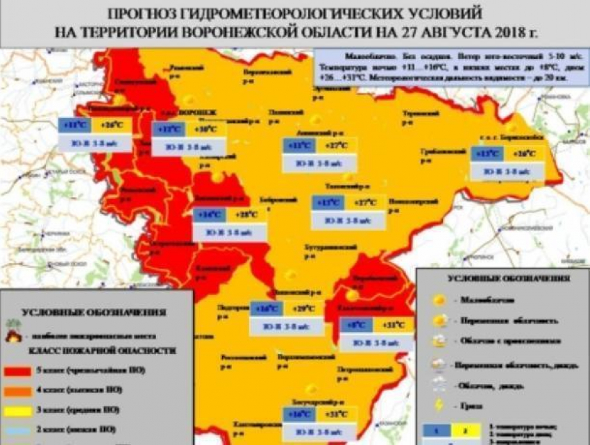 Названы районы Воронежской области с максимальной пожарной опасностью
