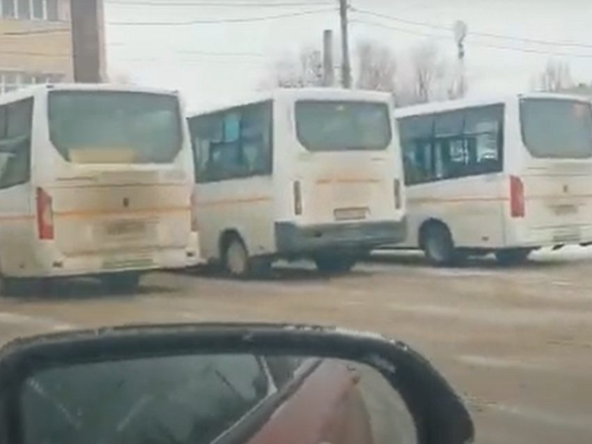 Стена из маршруток разозлила воронежского водителя 