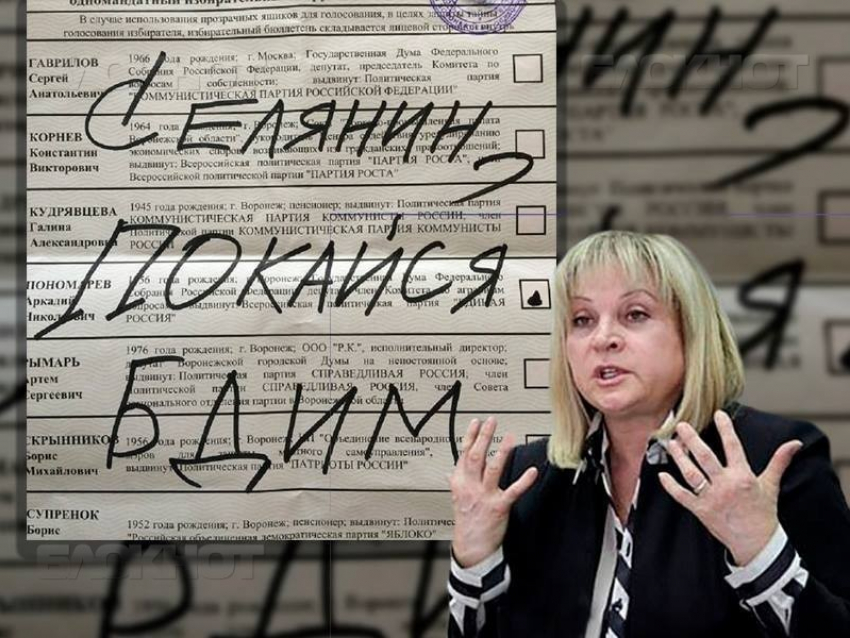 Элла Памфилова послала новый сигнал воронежским креаторам «селянинских» выборов