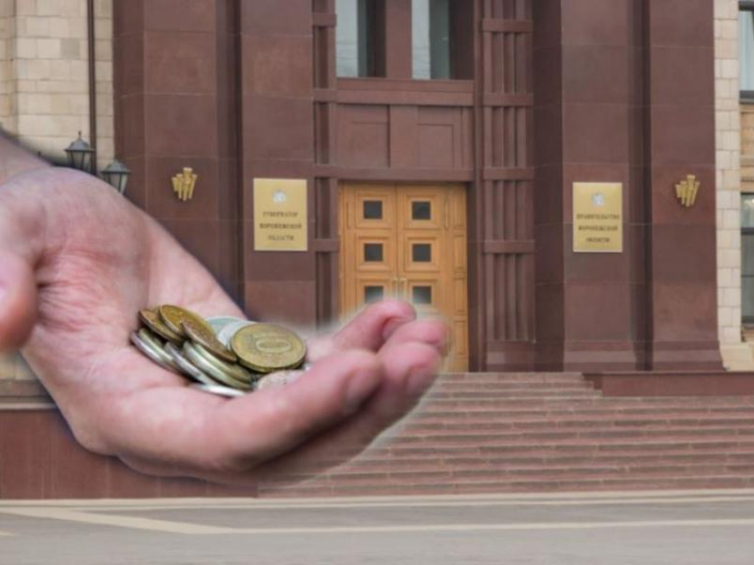 На какие нацпроекты воронежские власти готовы раскошелиться на 19 млрд рублей 