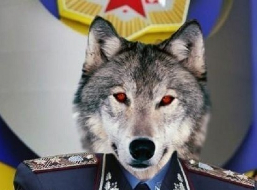 В полиции Воронежа обнаружен очередной высокопоставленный оборотень в погонах