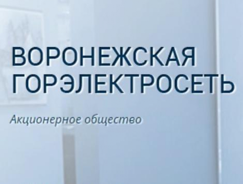 Депутаты пустили с молотка Воронежскую горэлектросеть