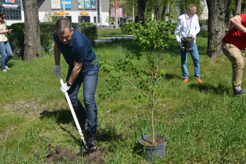 В преображение зеленого уголка у ВОГРЭСа внесли вклад депутаты Воронежской гордумы